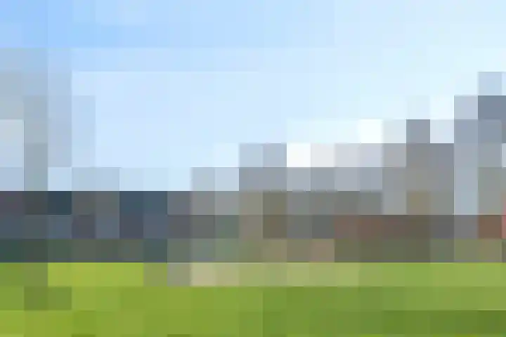 Haagwinde 14 Bladel thumbnail 38