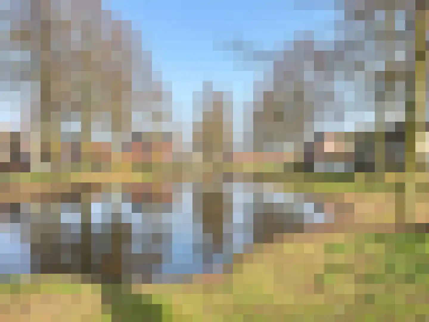 Haagwinde 14 Bladel thumbnail 39