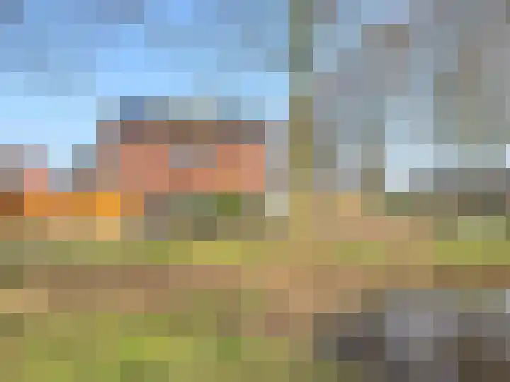 Haagwinde 14 Bladel thumbnail 4