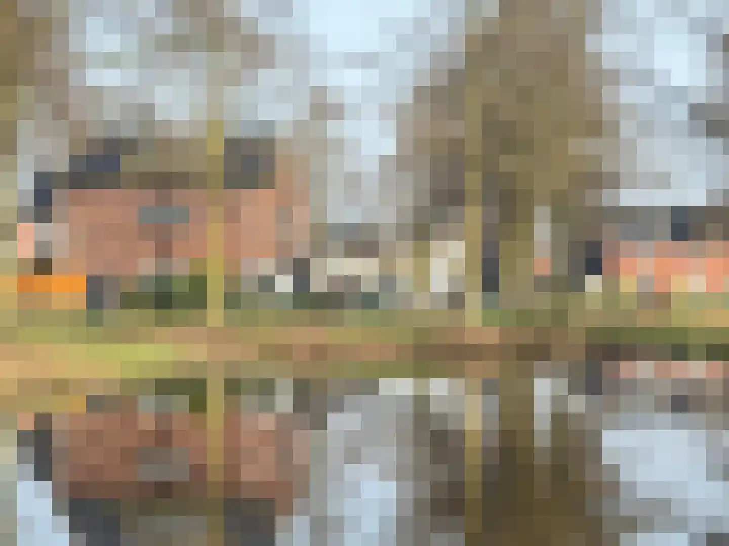 Haagwinde 14 Bladel thumbnail 5