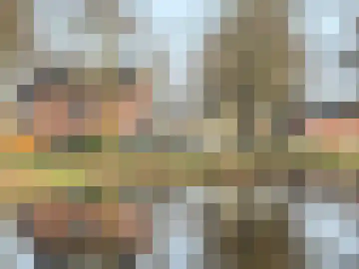 Haagwinde 14 Bladel thumbnail 5
