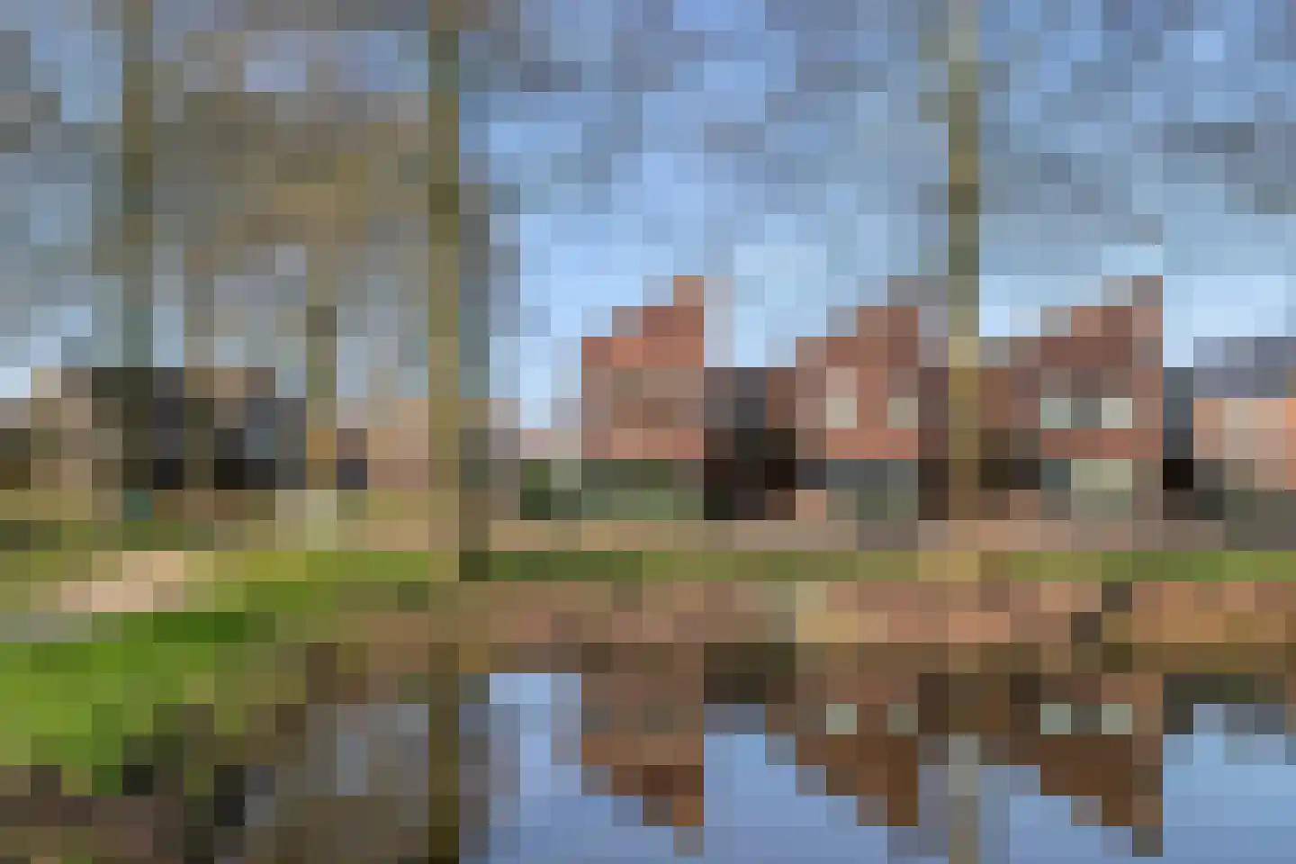 Haagwinde 14 Bladel thumbnail 8