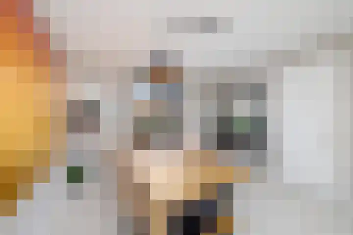 Haagwinde 14 Vlijmen thumbnail 10