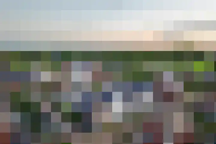 Haagwinde 14 Vlijmen thumbnail 101