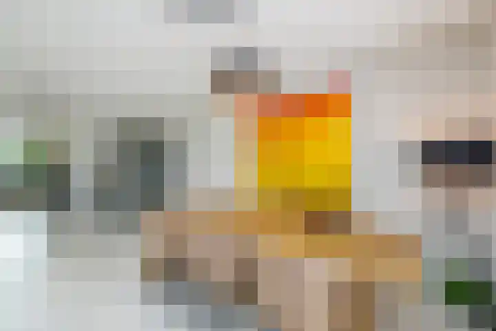 Haagwinde 14 Vlijmen thumbnail 11