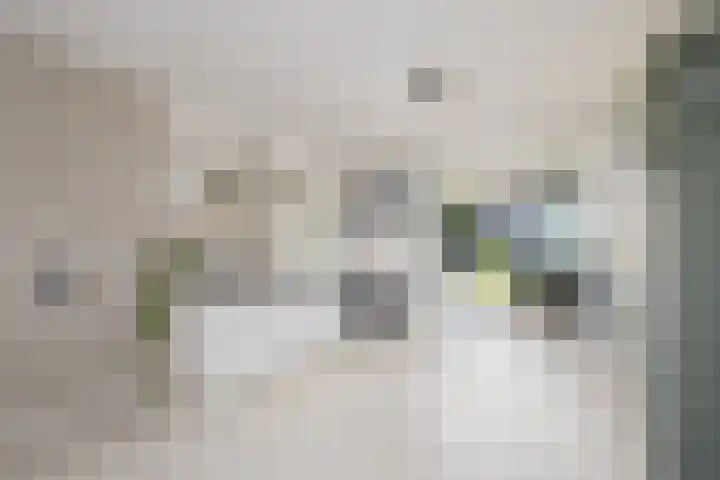Haagwinde 14 Vlijmen thumbnail 12