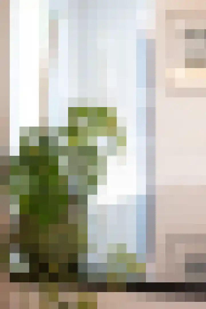 Haagwinde 14 Vlijmen thumbnail 15