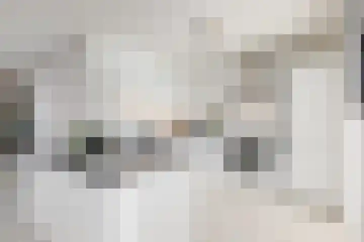 Haagwinde 14 Vlijmen thumbnail 16