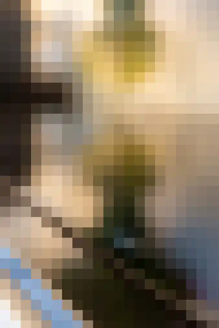 Haagwinde 14 Vlijmen thumbnail 19