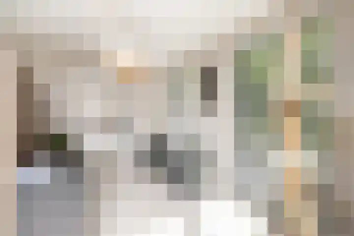 Haagwinde 14 Vlijmen thumbnail 22
