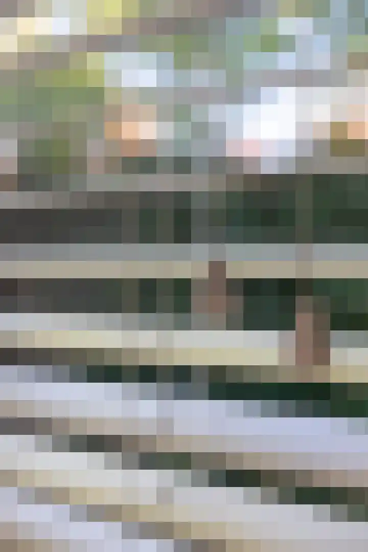 Haagwinde 14 Vlijmen thumbnail 23