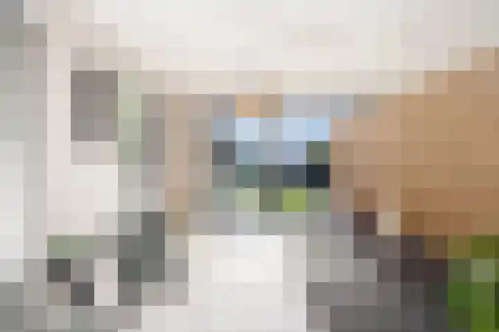 Haagwinde 14 Vlijmen thumbnail 24