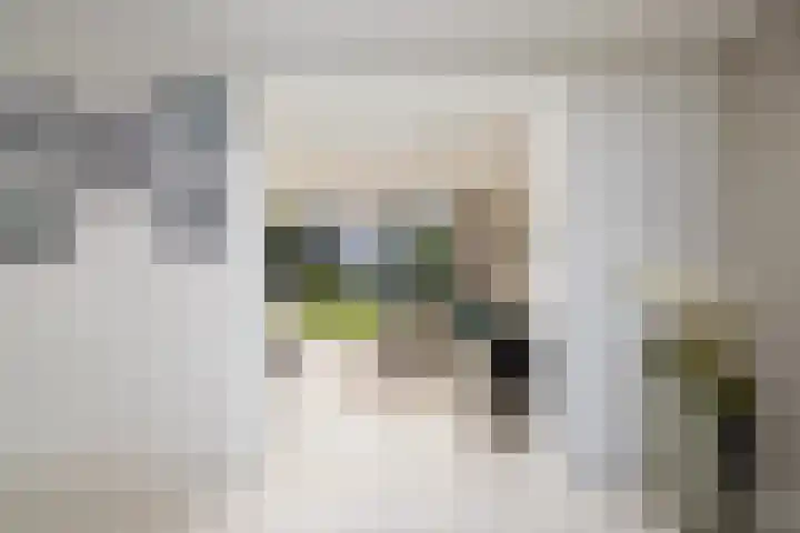 Haagwinde 14 Vlijmen thumbnail 26