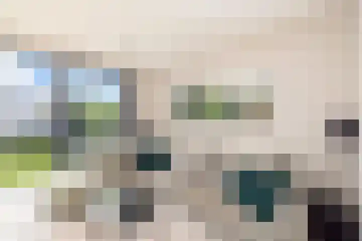 Haagwinde 14 Vlijmen thumbnail 29