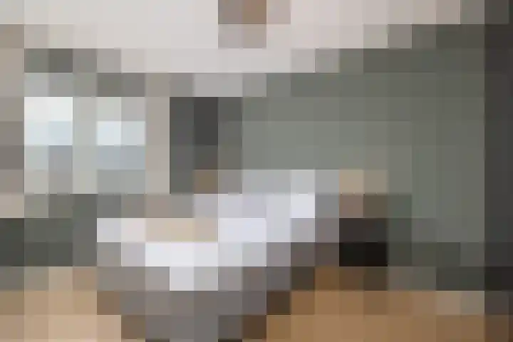 Haagwinde 14 Vlijmen thumbnail 34
