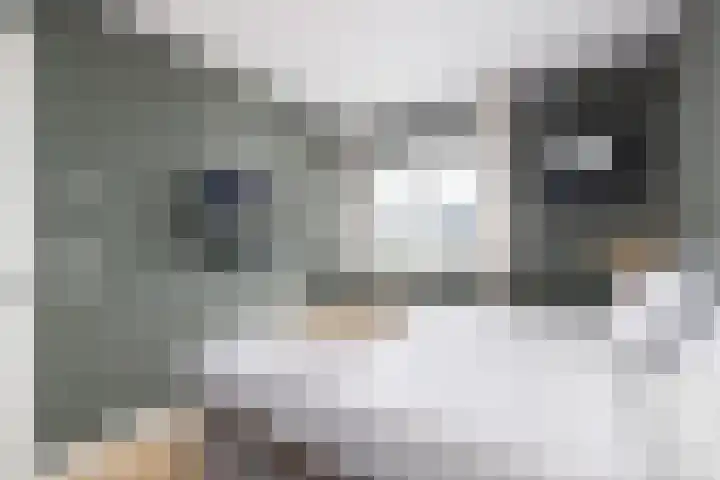 Haagwinde 14 Vlijmen thumbnail 36