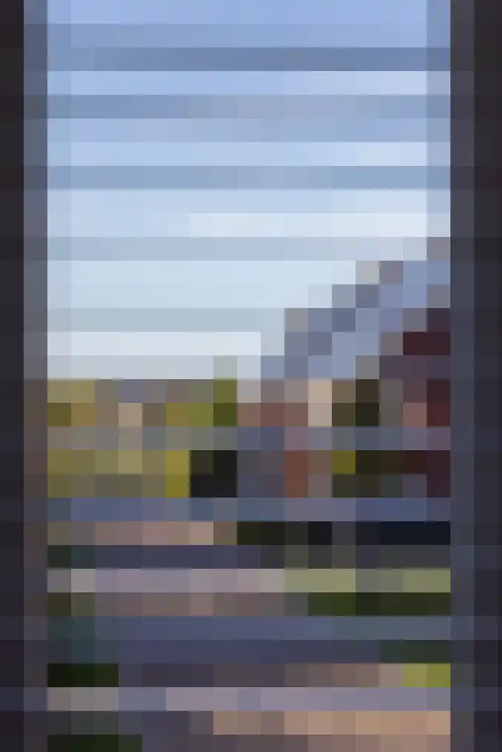 Haagwinde 14 Vlijmen thumbnail 43
