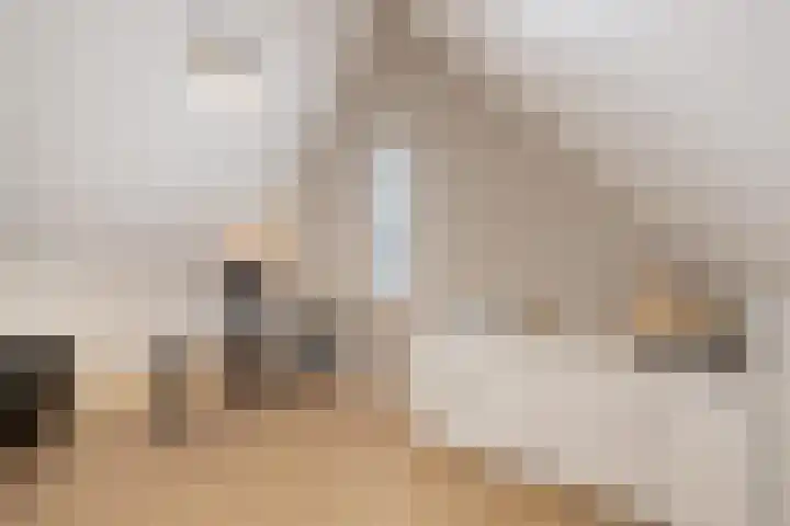 Haagwinde 14 Vlijmen thumbnail 49