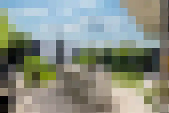 Haagwinde 14 Vlijmen thumbnail 55