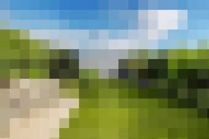Haagwinde 14 Vlijmen thumbnail 56