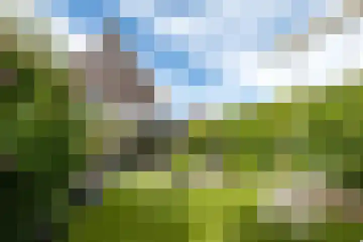 Haagwinde 14 Vlijmen thumbnail 57