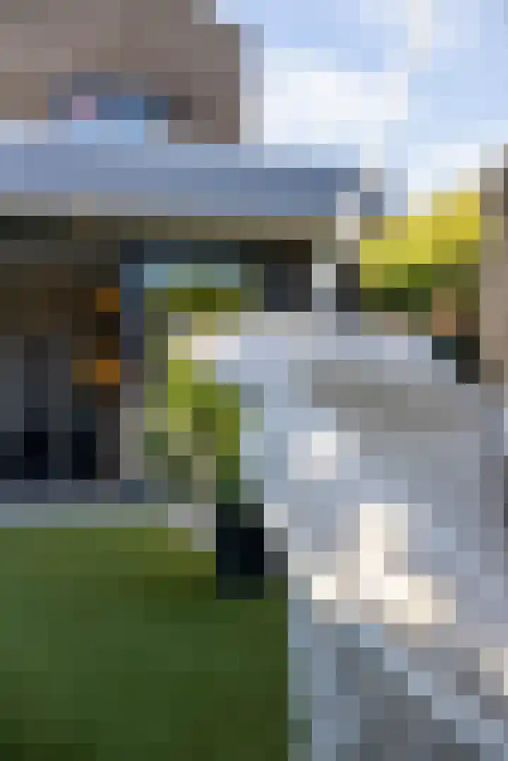 Haagwinde 14 Vlijmen thumbnail 58