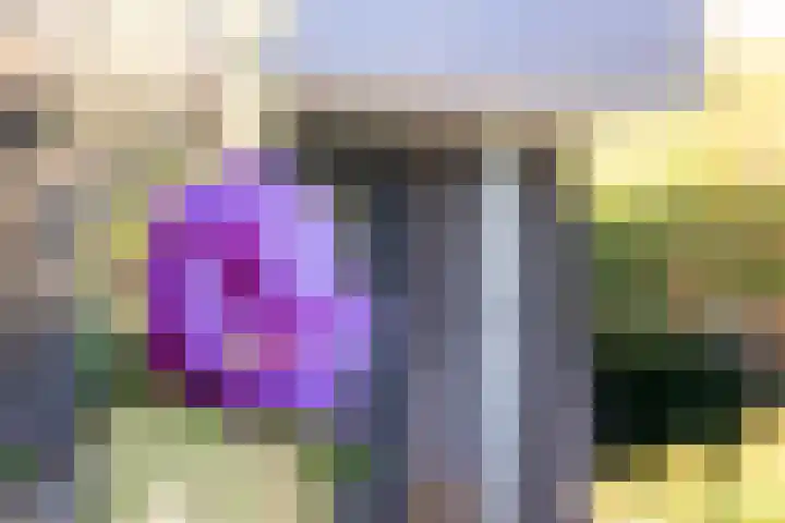 Haagwinde 14 Vlijmen thumbnail 59