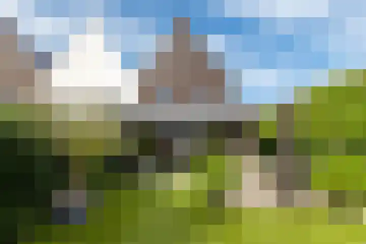 Haagwinde 14 Vlijmen thumbnail 60