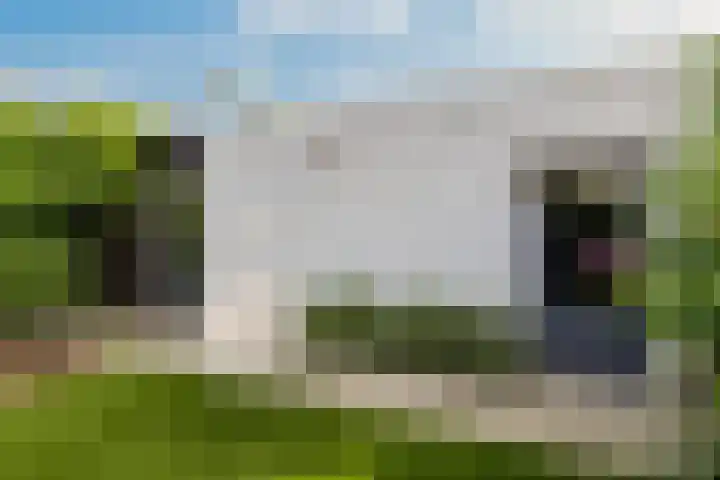 Haagwinde 14 Vlijmen thumbnail 61
