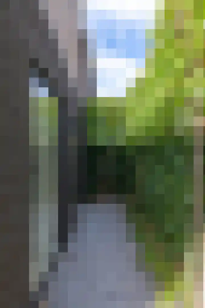 Haagwinde 14 Vlijmen thumbnail 64