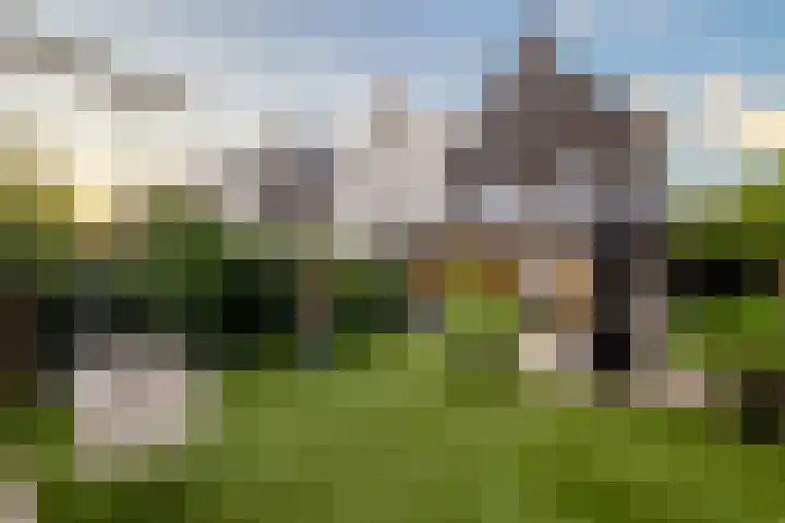 Haagwinde 14 Vlijmen thumbnail 75