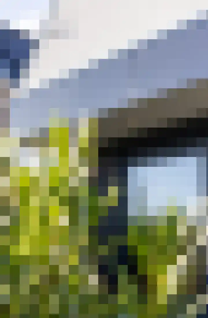Haagwinde 14 Vlijmen thumbnail 80