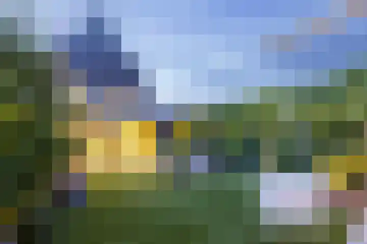 Haagwinde 14 Vlijmen thumbnail 81