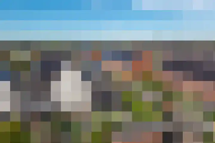 Haagwinde 14 Vlijmen thumbnail 85