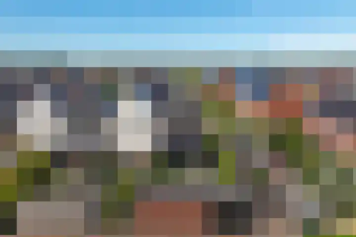 Haagwinde 14 Vlijmen thumbnail 86