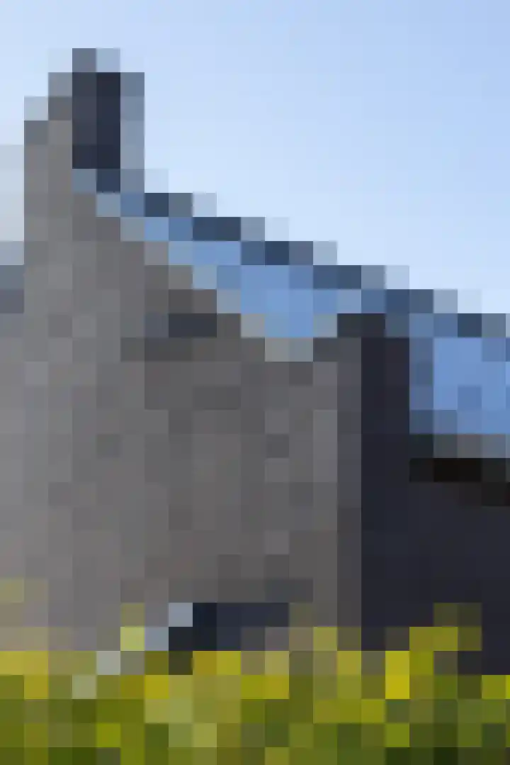 Haagwinde 14 Vlijmen thumbnail 92