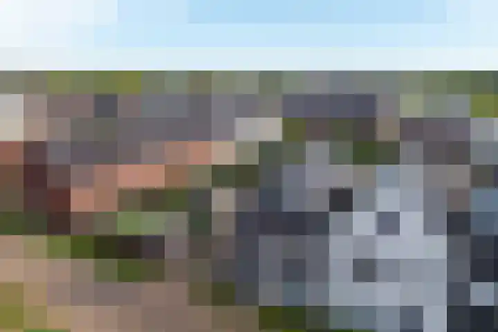 Haagwinde 14 Vlijmen thumbnail 94