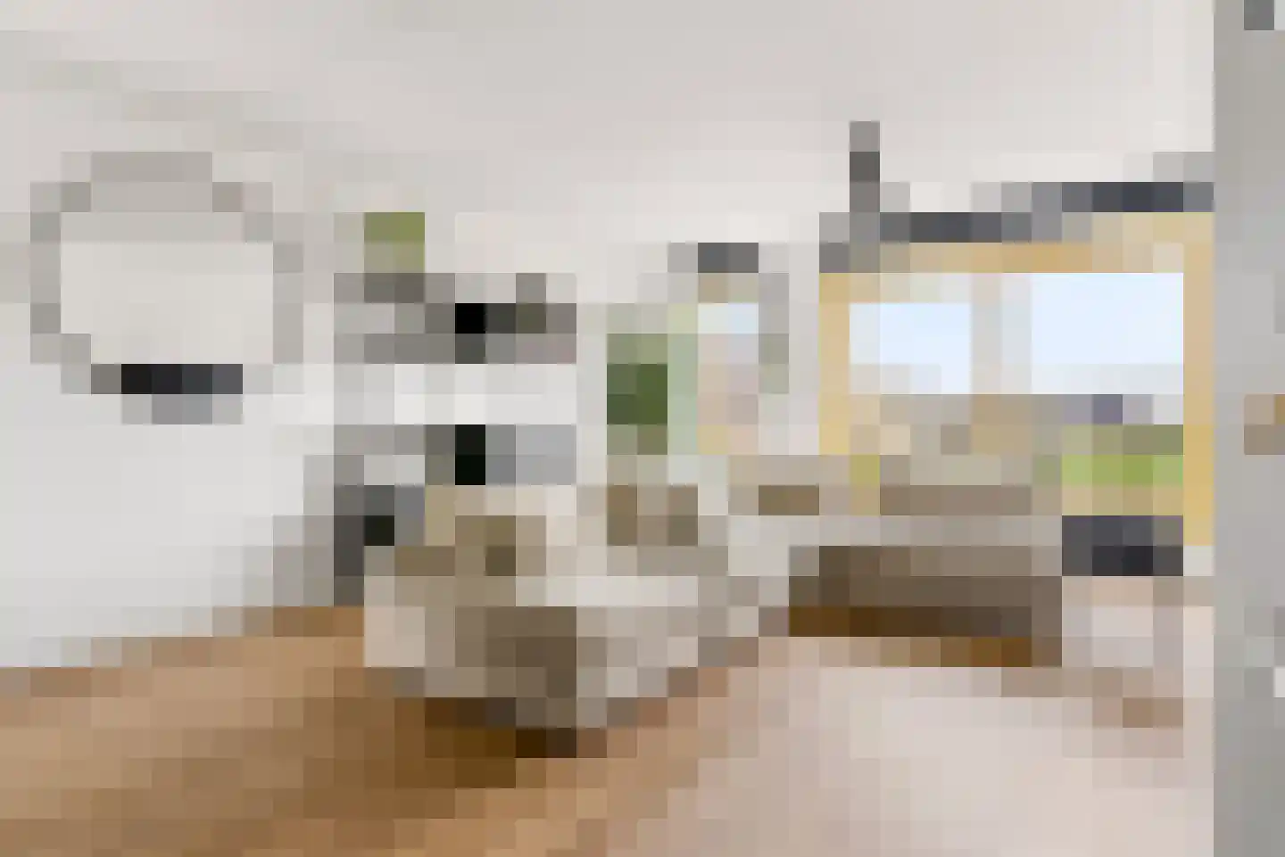 Haagwinde 15 Lelystad thumbnail 23