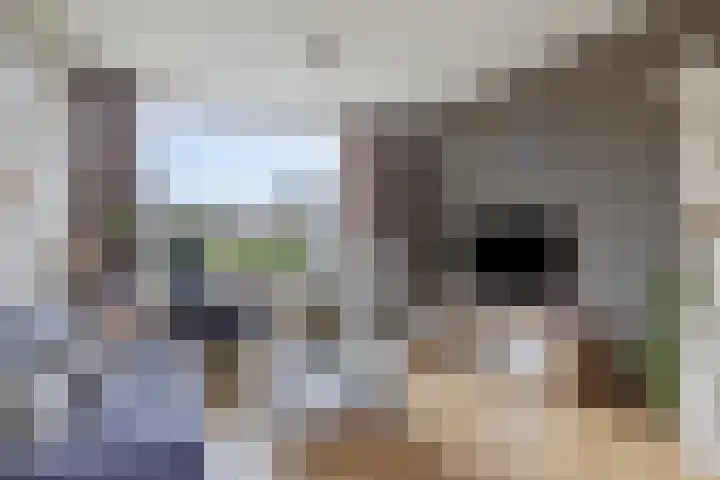 Haagwinde 15 Sprang-Capelle thumbnail 15