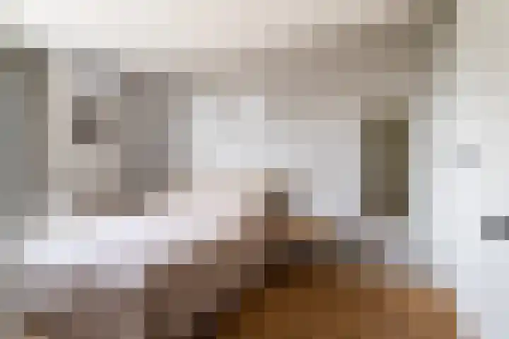 Haagwinde 15 Sprang-Capelle thumbnail 22