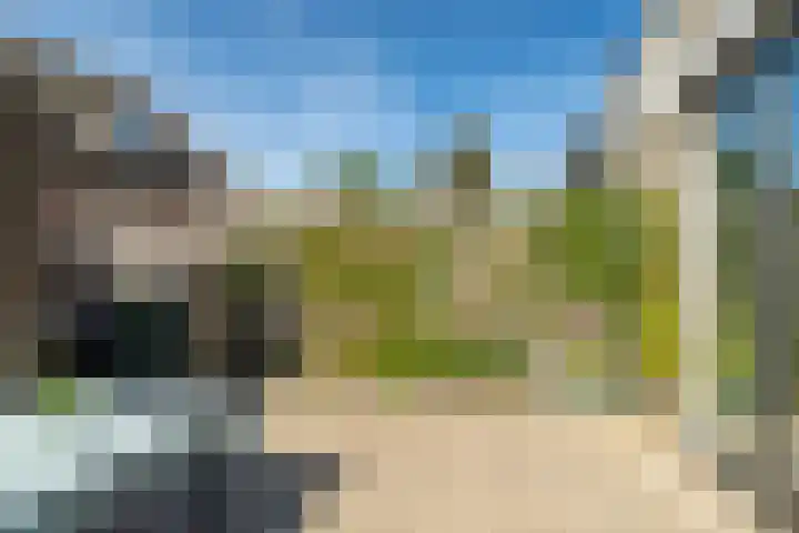Haagwinde 15 Sprang-Capelle thumbnail 5