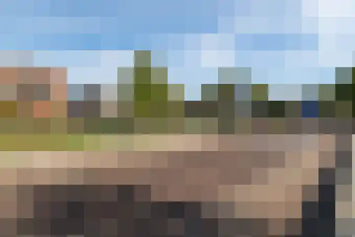 Haagwinde 15 Sprang-Capelle thumbnail 7