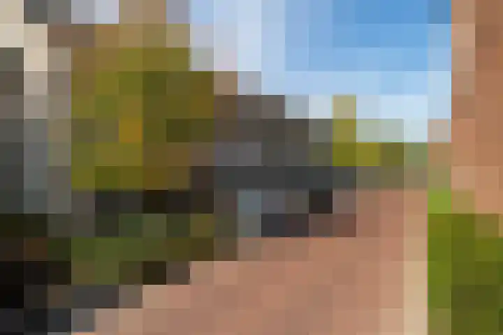 Haagwinde 15 Sprang-Capelle thumbnail 9