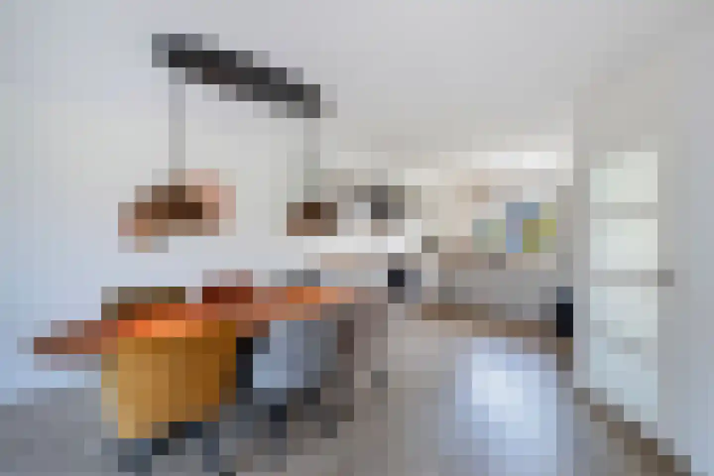 Haagwinde 16 Oudkarspel thumbnail 10