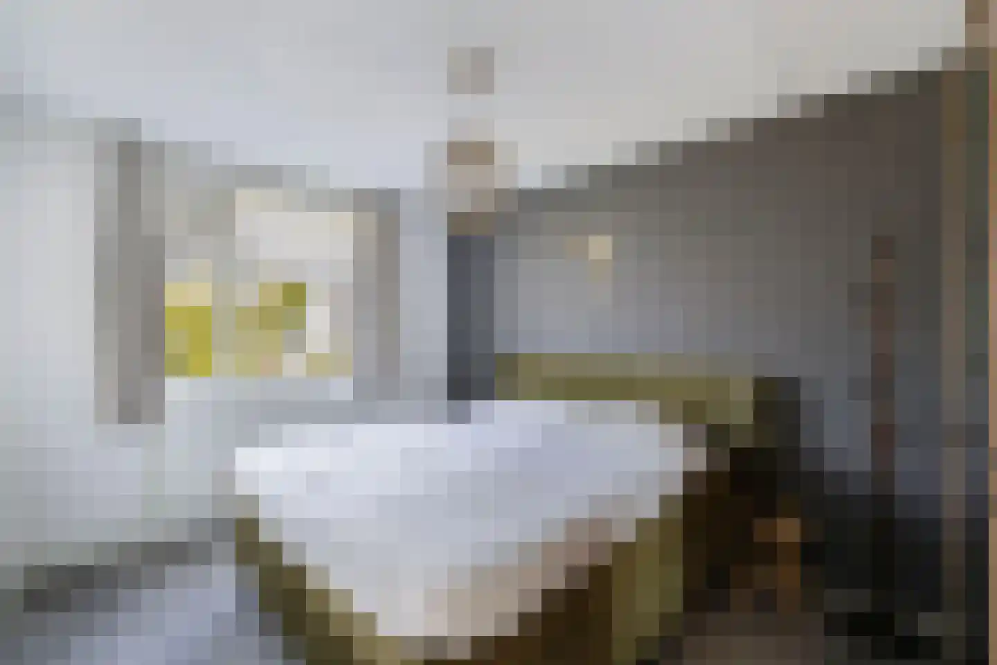Haagwinde 16 Oudkarspel thumbnail 17