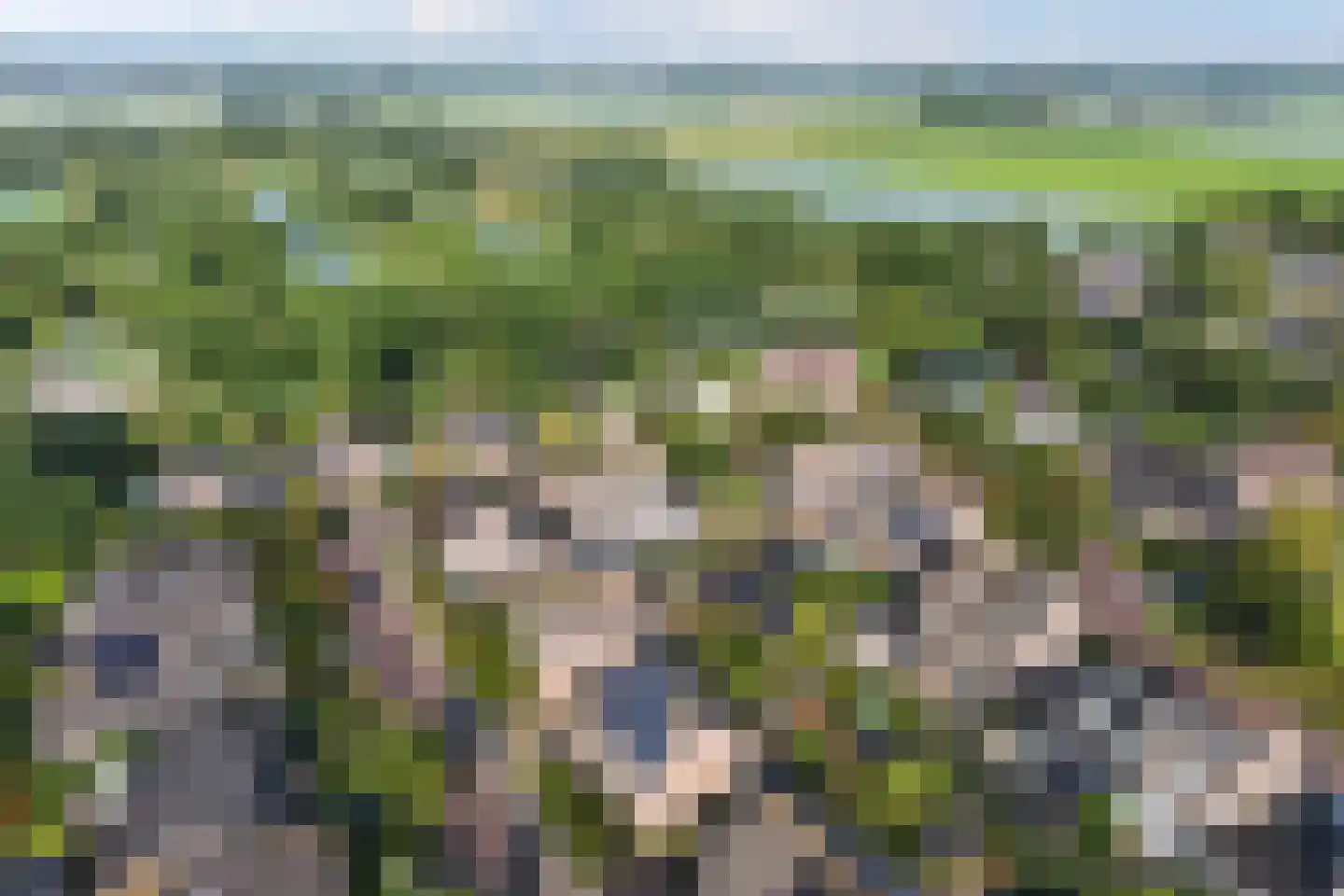 Haagwinde 16 Oudkarspel thumbnail 40