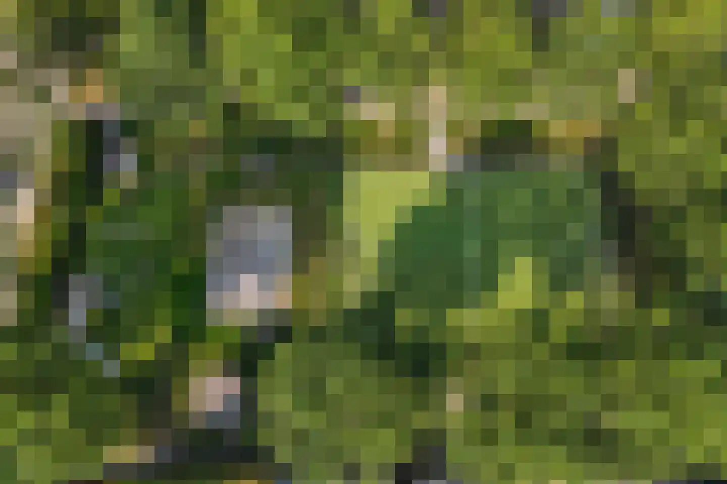 Haagwinde 16 Oudkarspel thumbnail 41