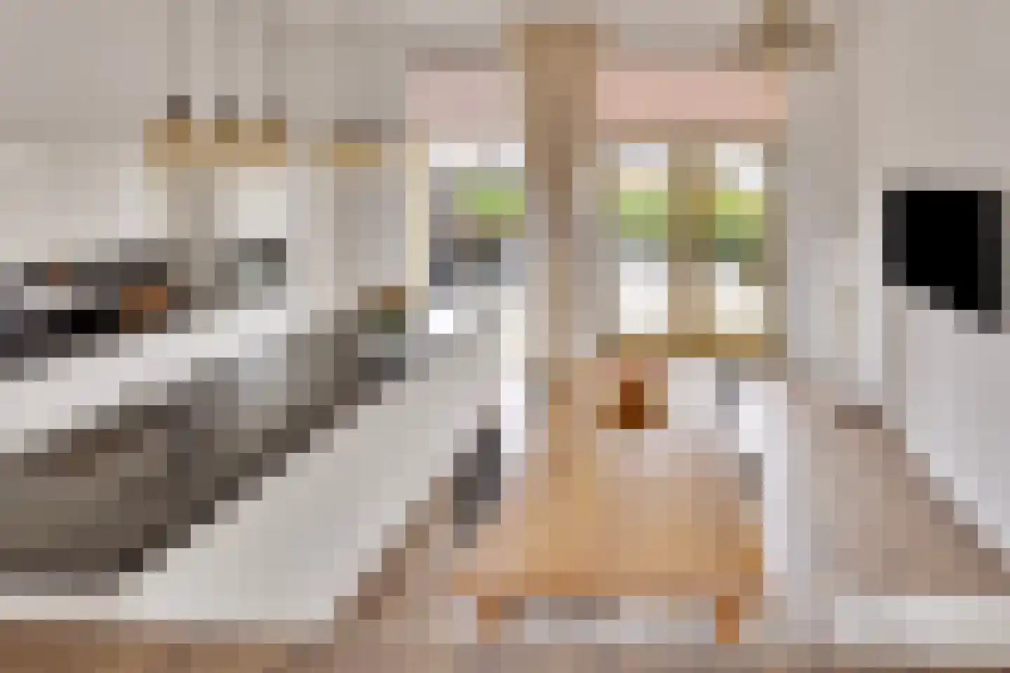 Haagwinde 17 Lelystad thumbnail 8
