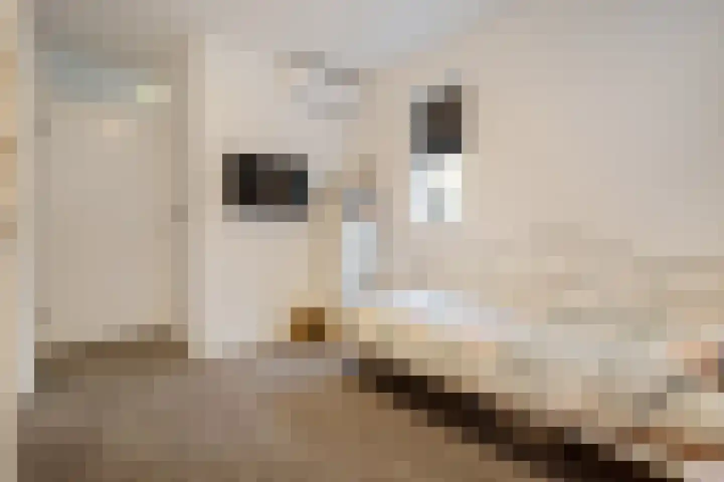 Haagwinde 19 Vught thumbnail 37