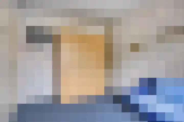 Haagwinde 2 Bladel thumbnail 15